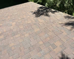 Rutledge Asphalt Shingle Roof Cleaning