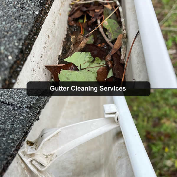 Gutter Cleaning Services in Rutledge  TN