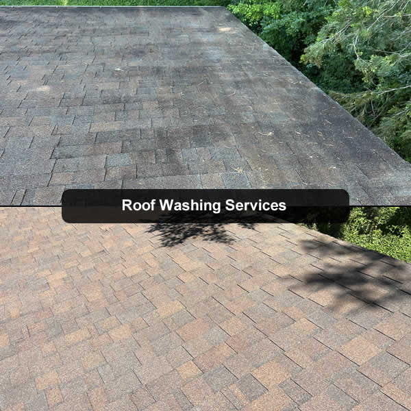 Roof Washing Company in Sevierville TN