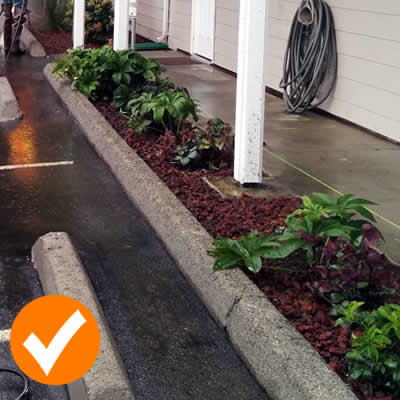 Sidewalk Cleaning Services Strawberry Plains